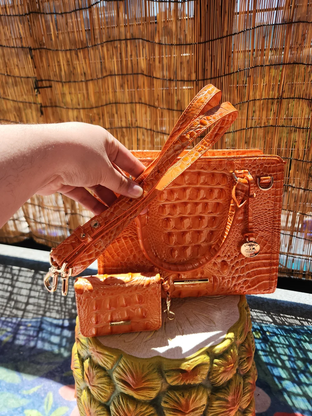 Assorted Purse Bundle